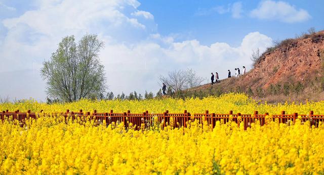 陽(yáng)春三月美如畫(huà) 醉美許都花似海